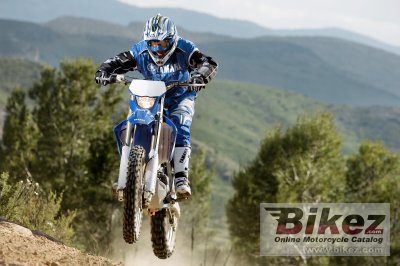 2008 Yamaha WR250F