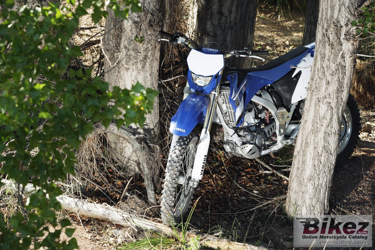 Yamaha WR250F