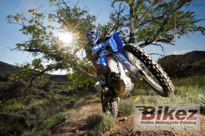 2008 Yamaha WR250F