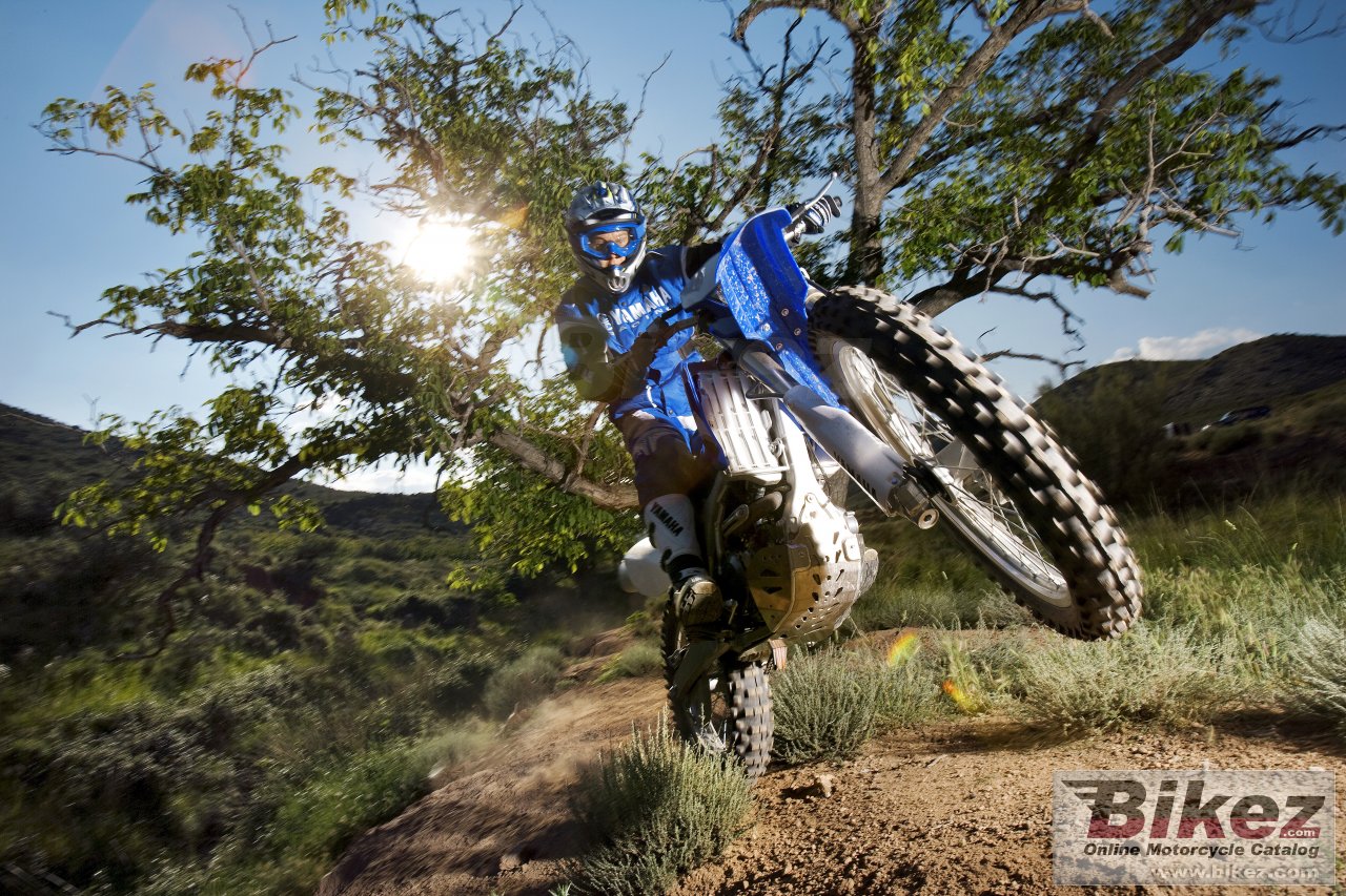 Yamaha WR250F