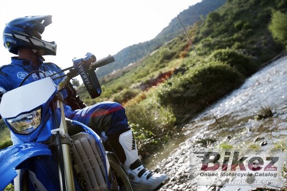 2008 Yamaha WR250F