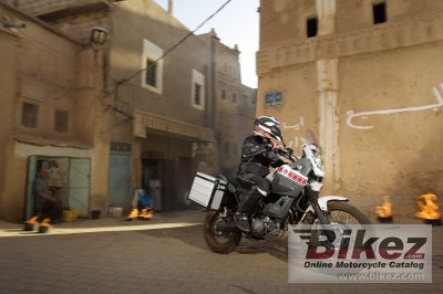 2008 Yamaha XT660Z Tenere