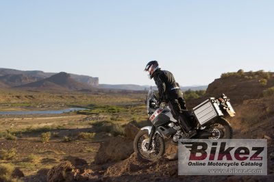 2008 Yamaha XT660Z Tenere