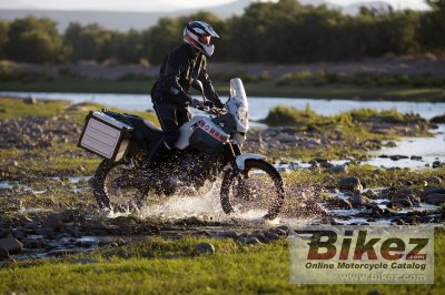 2008 Yamaha XT660Z Tenere