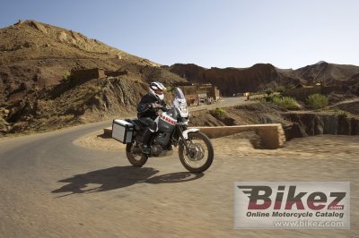 2008 Yamaha XT660Z Tenere