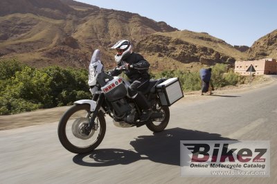 2008 Yamaha XT660Z Tenere