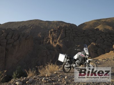 2008 Yamaha XT660Z Tenere