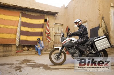 2008 Yamaha XT660Z Tenere