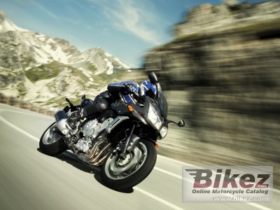 2008 Yamaha FZ1 Fazer