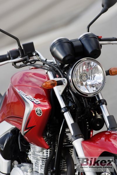 2008 Yamaha YBR250