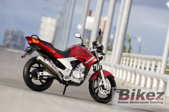 2008 Yamaha YBR250