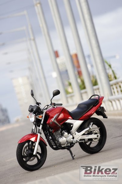 2008 Yamaha YBR250