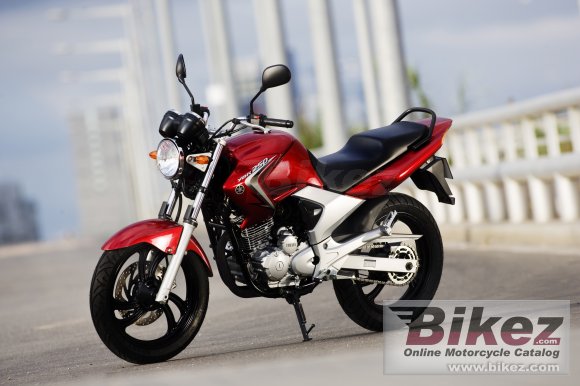 2008 Yamaha YBR250