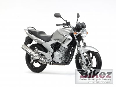 2008 Yamaha YBR250