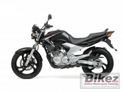 2008 Yamaha YBR250