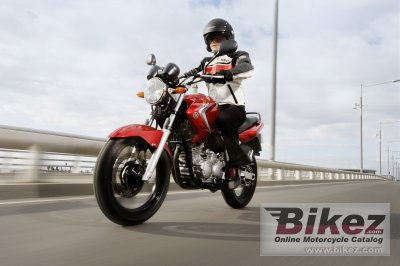 2008 Yamaha YBR250