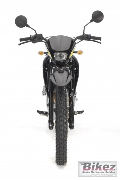 2008 Yamaha XT125R