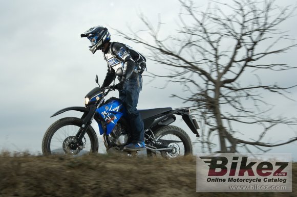 2008 Yamaha XT125R