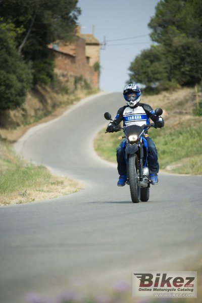 2008 Yamaha XT125R