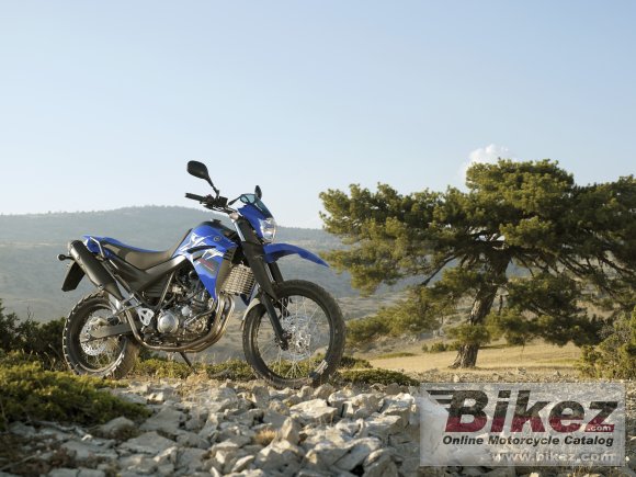 2008 Yamaha XT660R