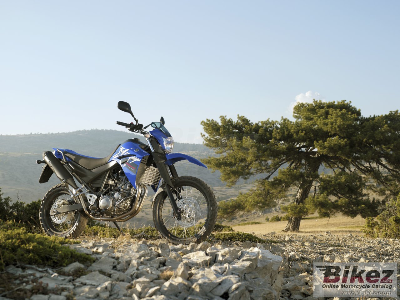 Yamaha XT660R