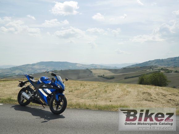 2008 Yamaha YZF-R125