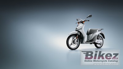 2008 Yamaha Why