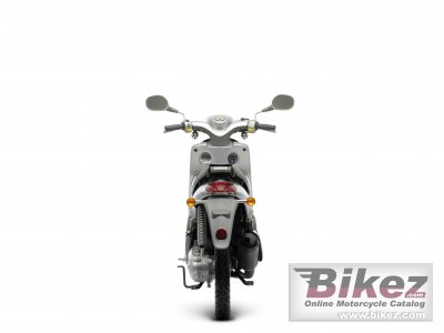 2008 Yamaha Why