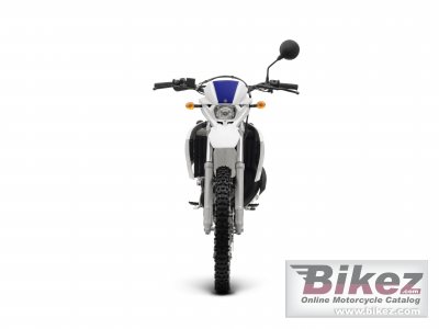 2008 Yamaha DT50R