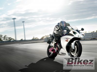 2009 Yamaha YZF-R1