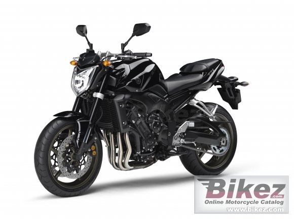 2009 Yamaha FZ1