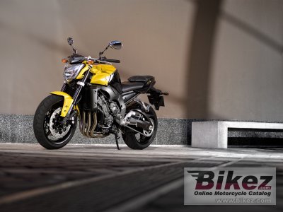 2009 Yamaha FZ1