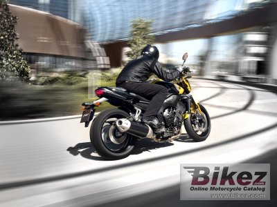 2009 Yamaha FZ1
