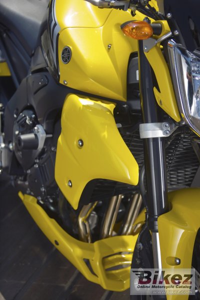 2009 Yamaha FZ1