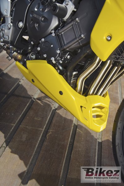 2009 Yamaha FZ1