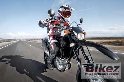 2009 Yamaha WR250X