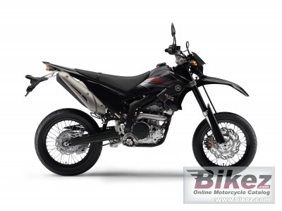 2009 Yamaha WR250X