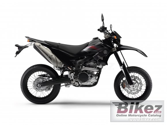 2009 Yamaha WR250X