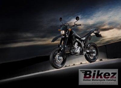 2009 Yamaha WR250X