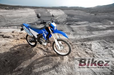2009 Yamaha WR250R