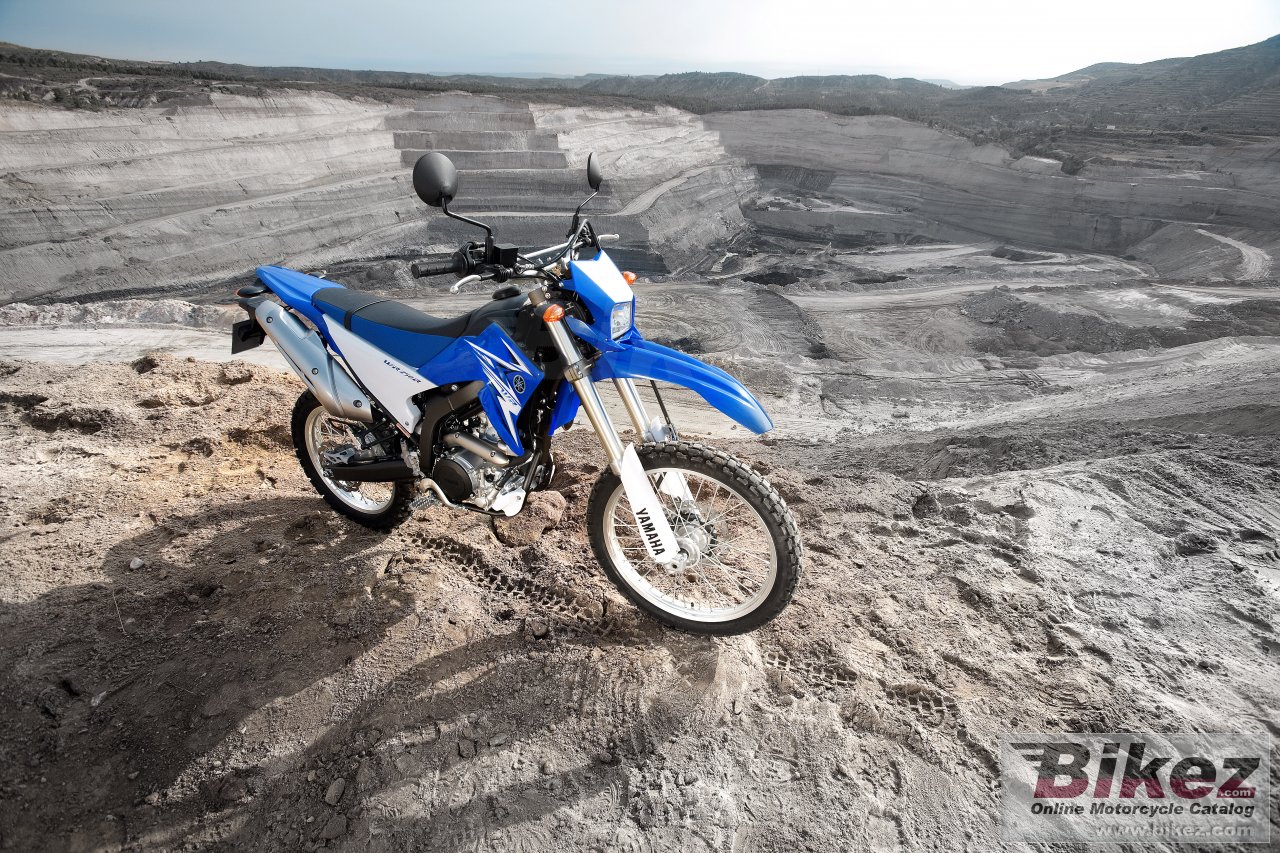 Yamaha WR250R