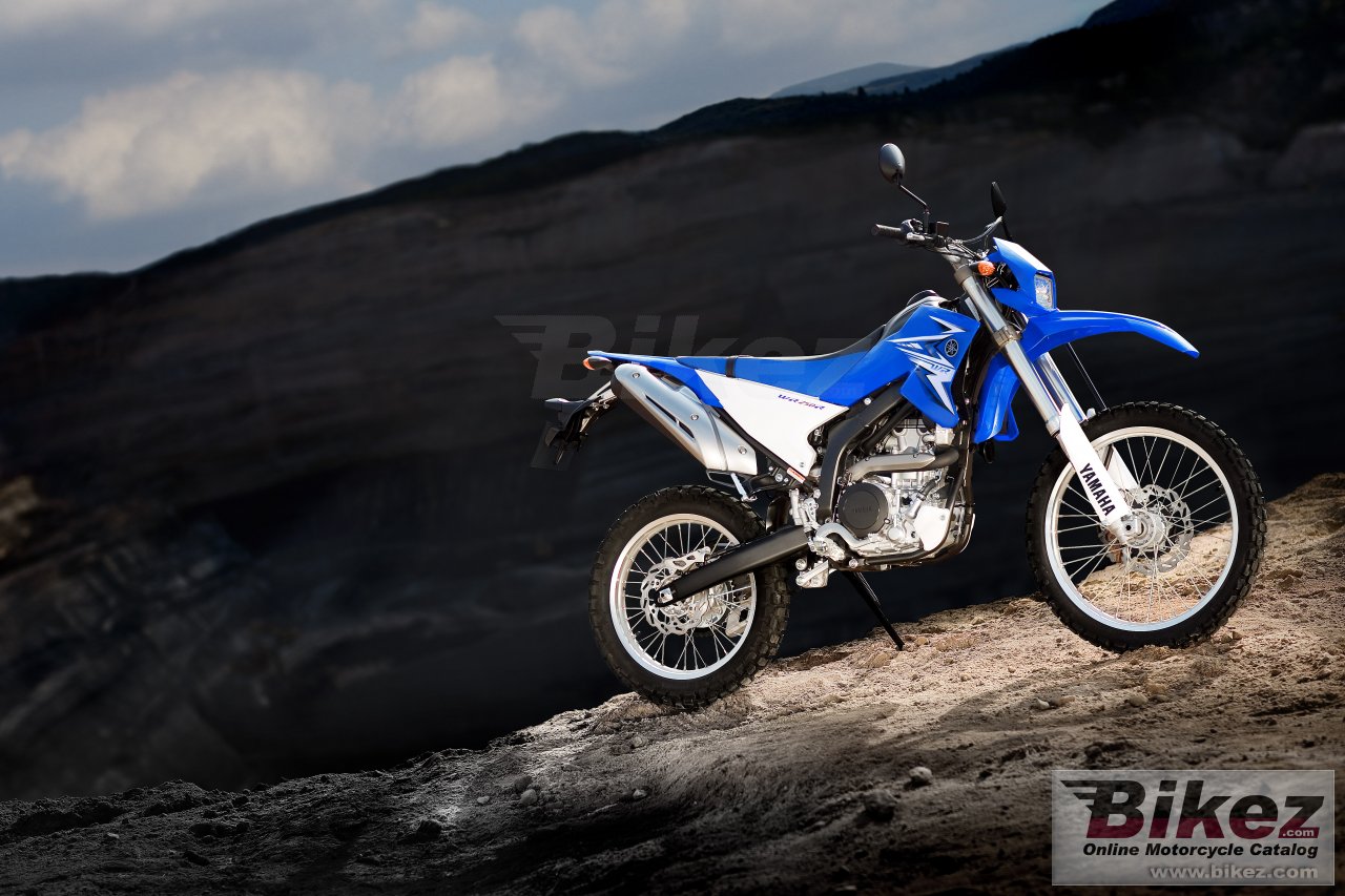 Yamaha WR250R