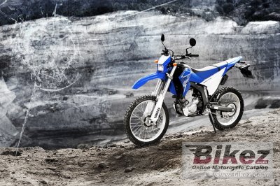 2009 Yamaha WR250R