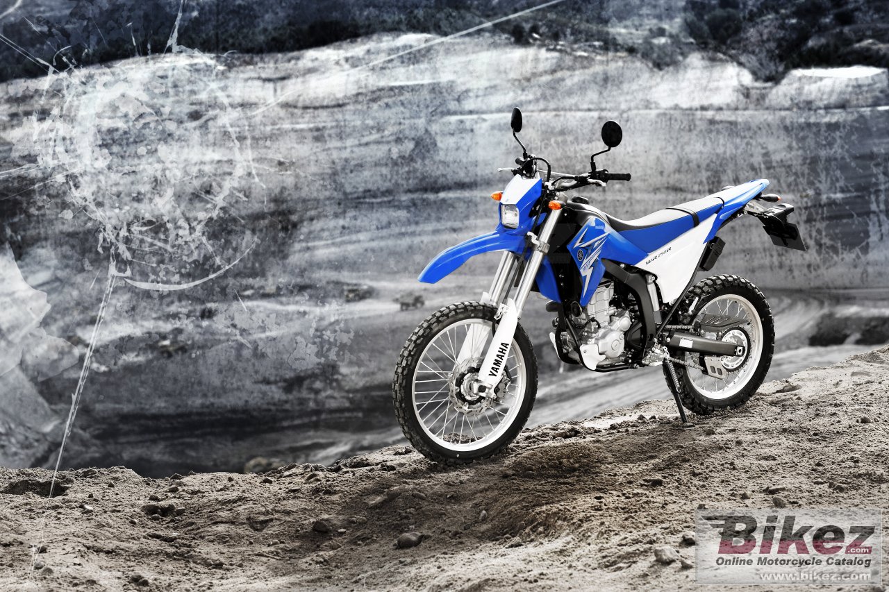 Yamaha WR250R