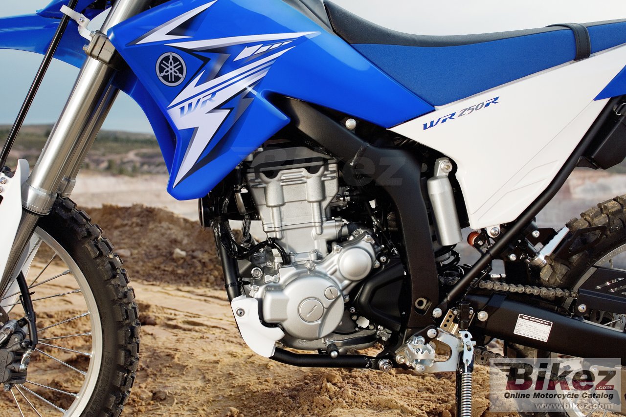 Yamaha WR250R