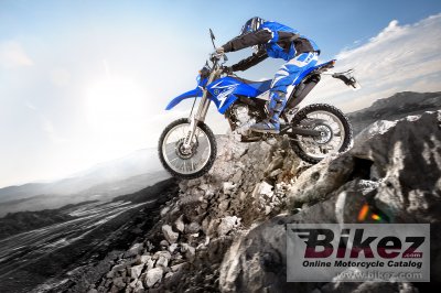 2009 Yamaha WR250R