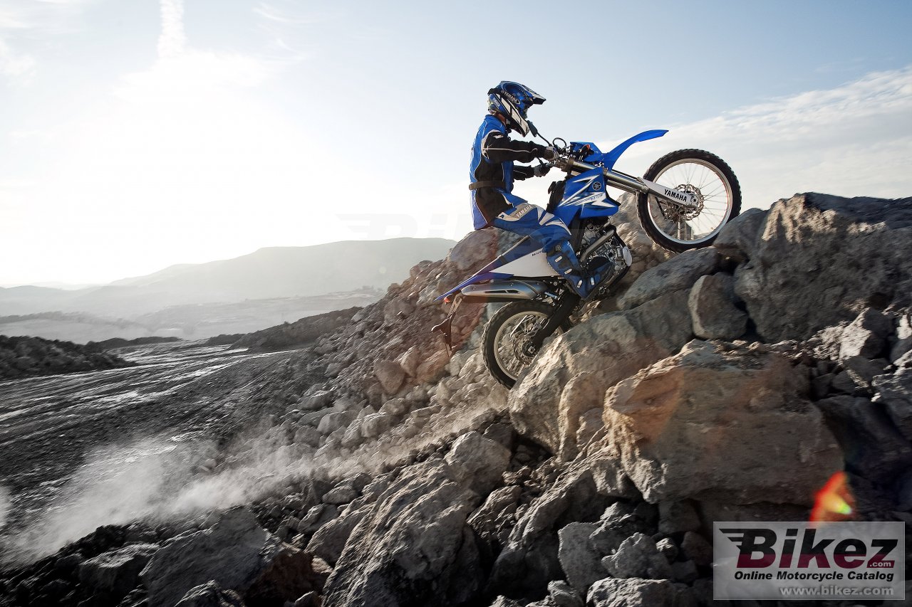 Yamaha WR250R