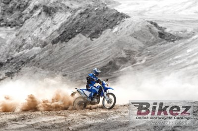 2009 Yamaha WR250R