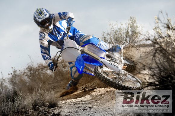 2009 Yamaha YZ450F