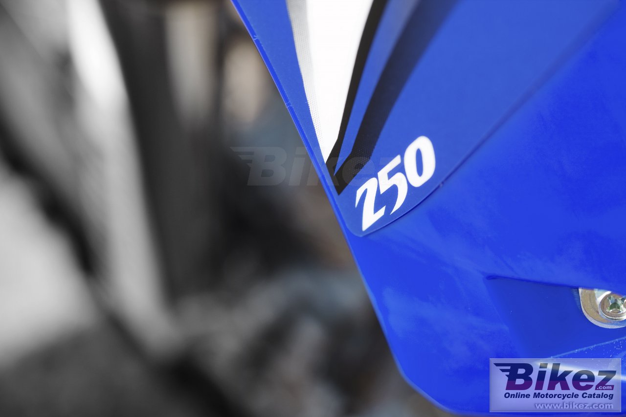 Yamaha YZ250